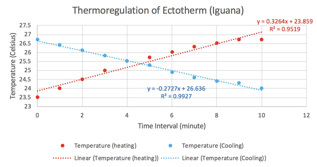 Thermoregulation Lab - Ectotherm Scatterplot