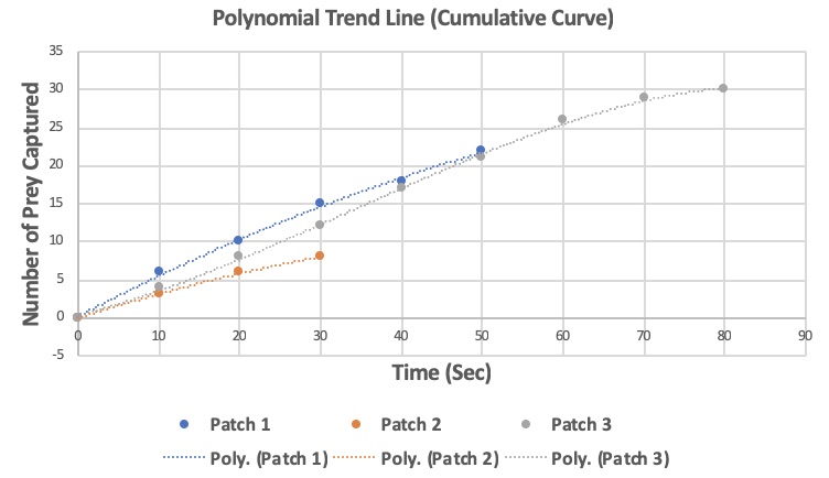 Polynomial Trend Line