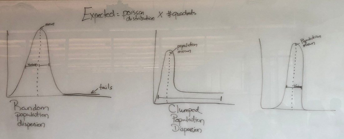 WPsM4peDST+SQTSk626YGw