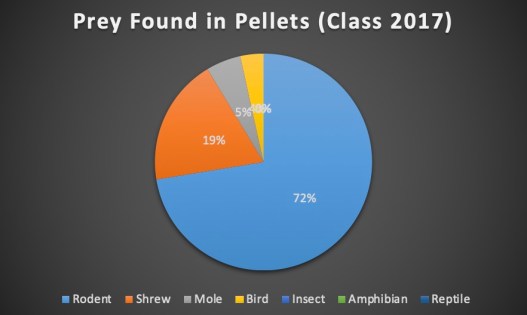 Barn Owl - Type of Prey (2017 Class Data)