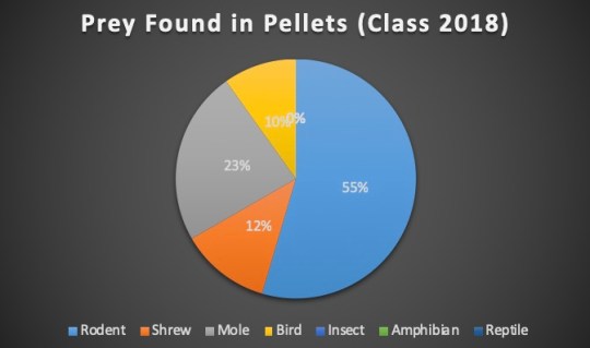 Barn Owl - Type of Prey (Class 2018)