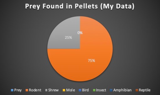 Barn Owl - Type of Prey (My Data)