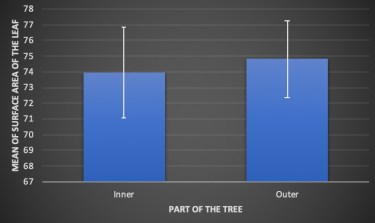 Class Data for Red Oak Tree