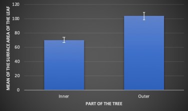 Class Data for White Oak Tree